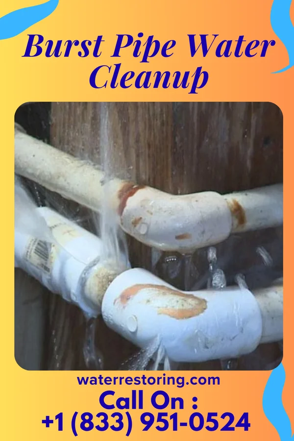 Burst Pipe Water Cleanup in Washam, WY