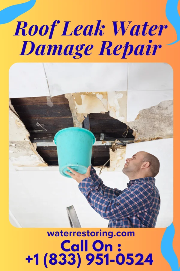 Roof Leak Water Damage Repair in Washam, WY