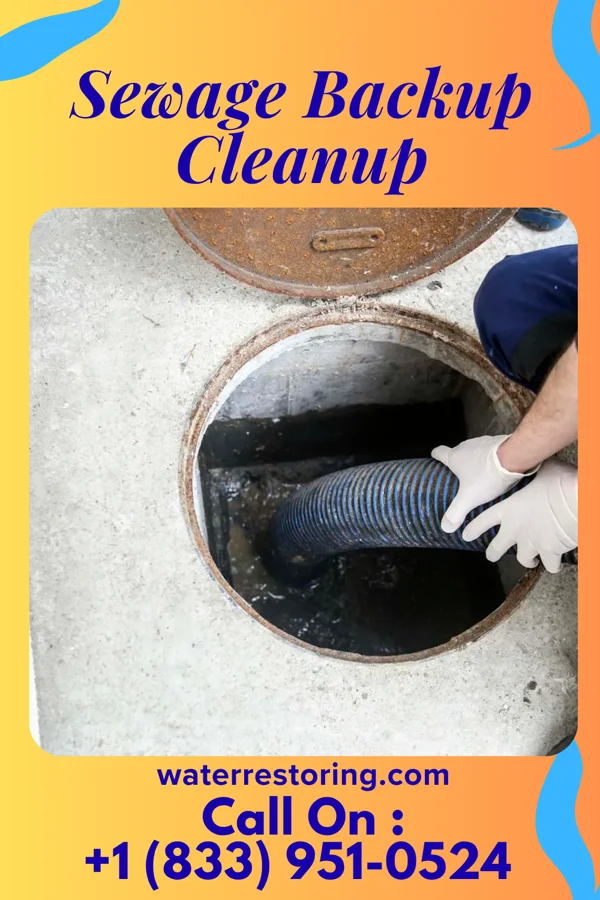 Sewage Backup Cleanup in Washam, WY