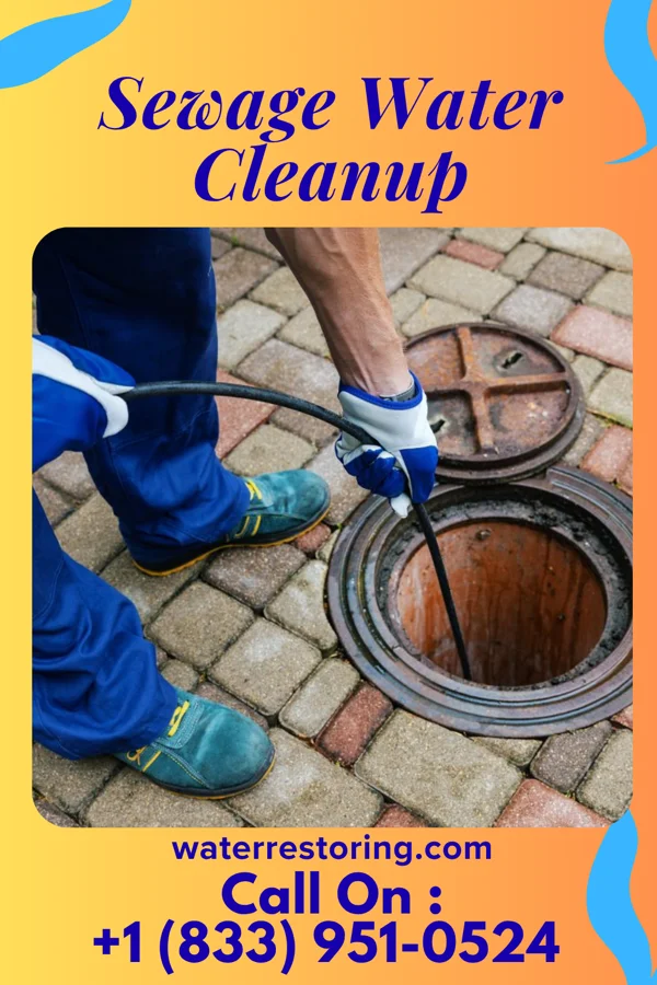 Sewage Water Cleanup in Washam, WY