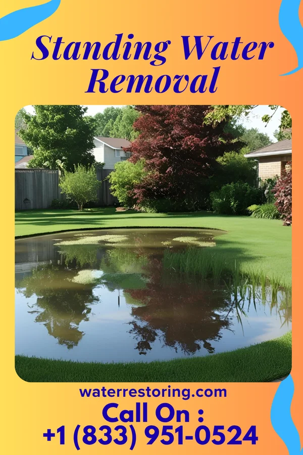 Standing Water Removal in Washam, WY